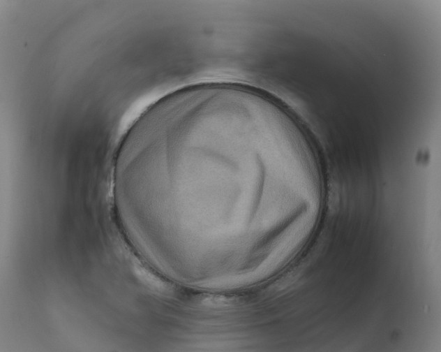 X0000111811366200908131450