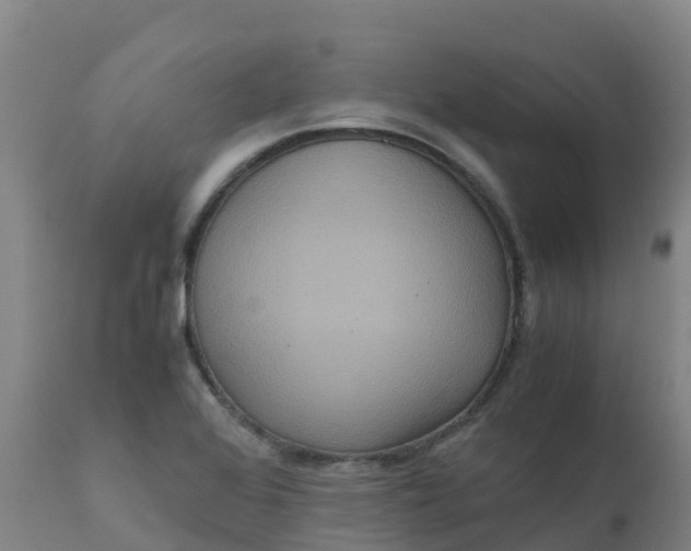 X0000111811368200908131450
