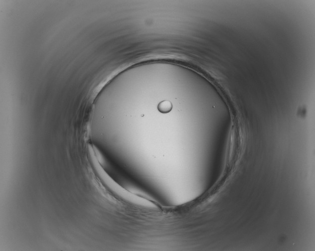 X0000111811369200908131450