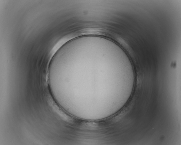 X0000111811370200908131450