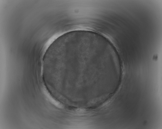 X0000111811371200908131449