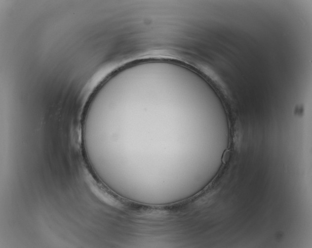 X0000111811372200908131449