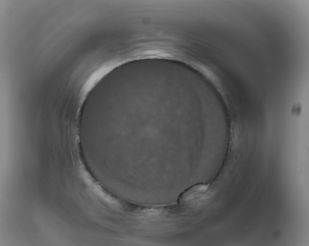X0000111811373200908131449