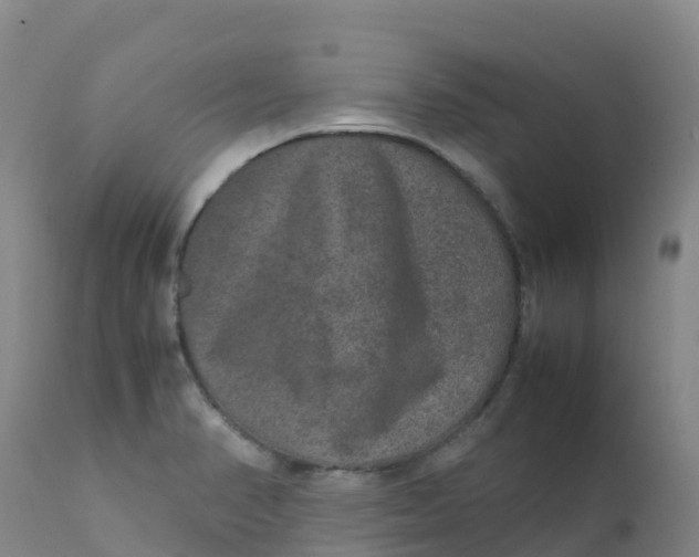 X0000111811374200908131449