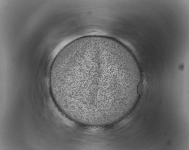 X0000111811375200908131449
