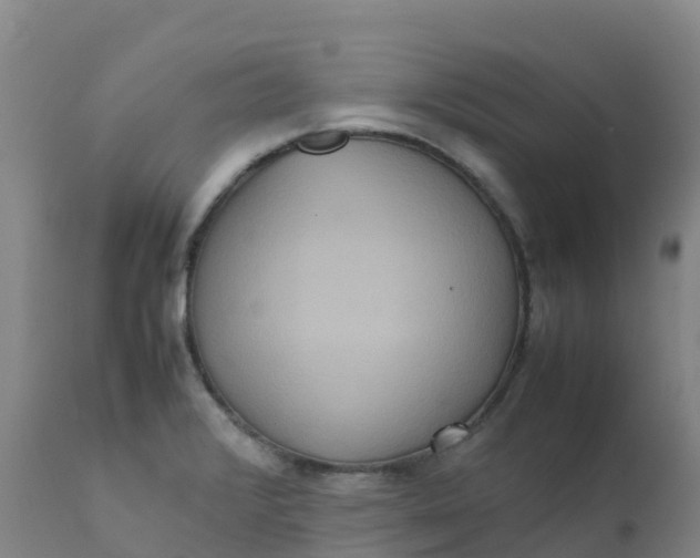 X0000111811376200908131449