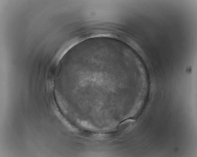 X0000111811377200908131449