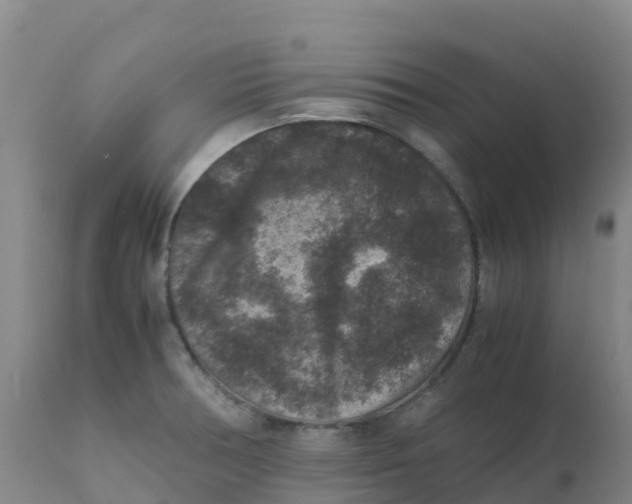 X0000111811378200908131449