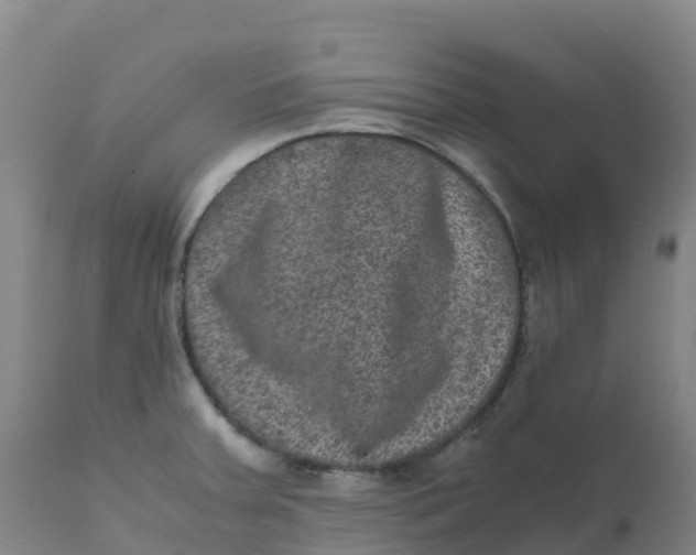 X0000111811379200908131449