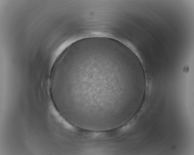 X0000111811381200908131449