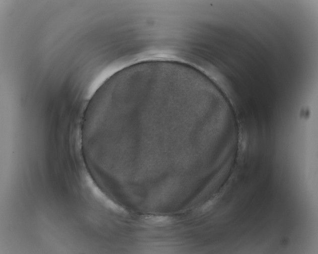 X0000111811382200908131449