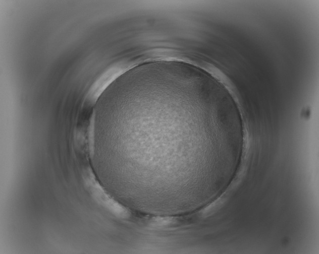 X0000111811385200908131449
