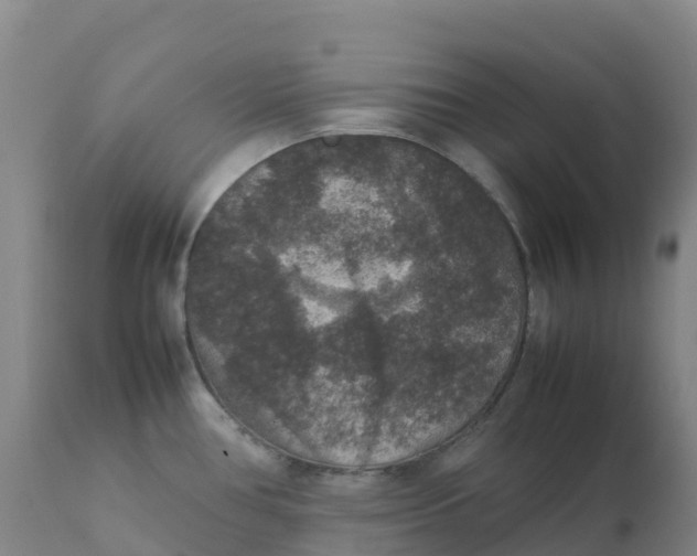 X0000111811386200908131449