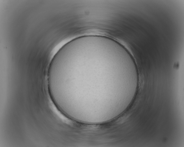 X0000111811387200908131449