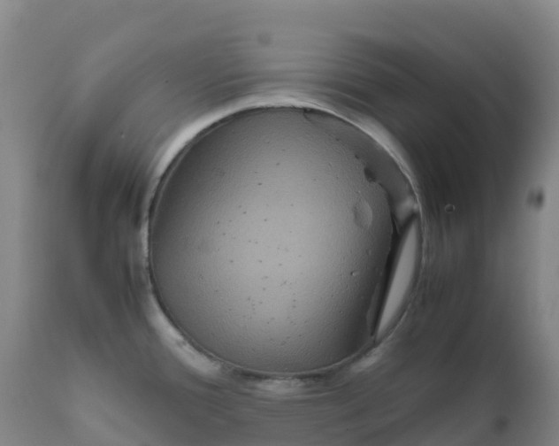 X0000111811388200908131449