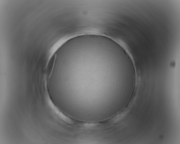 X0000111811389200908131449