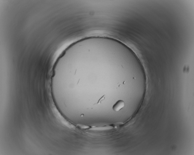 X0000111811392200908131449