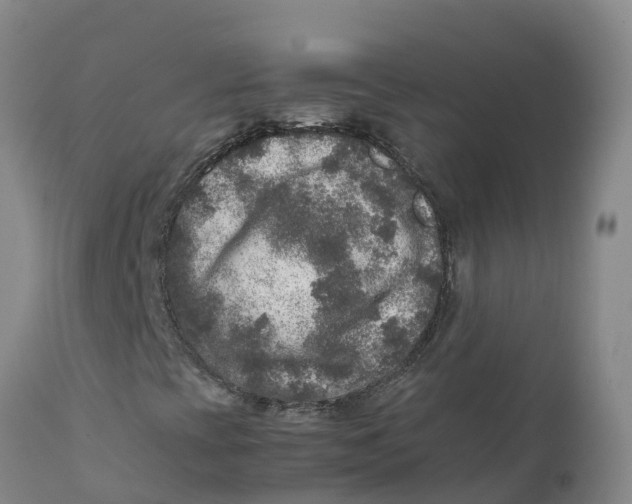 X0000111811393200908131449