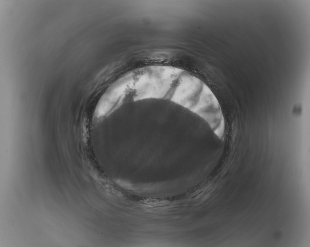 X0000111811394200908131449