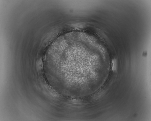 X0000111811395200908131449