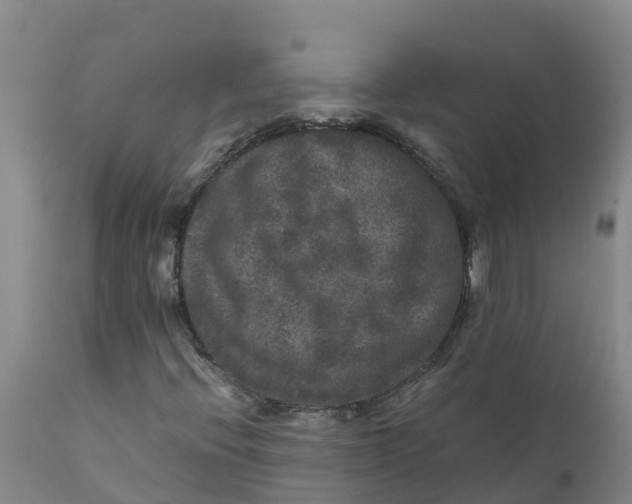 X0000111811396200908131449