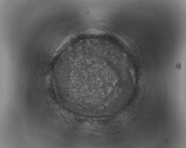 X0000111811397200908131449