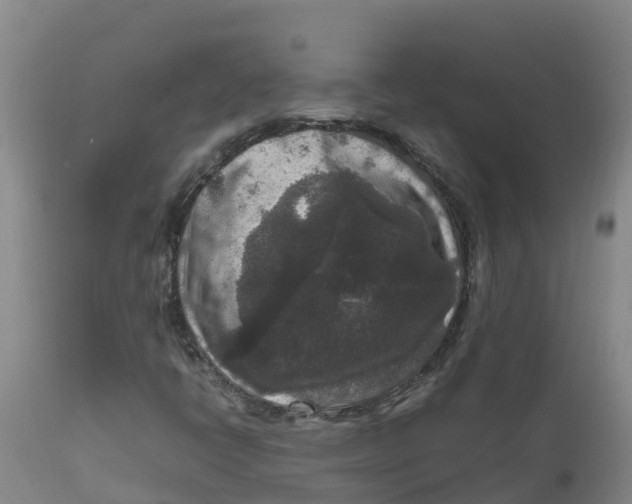X0000111811398200908131449