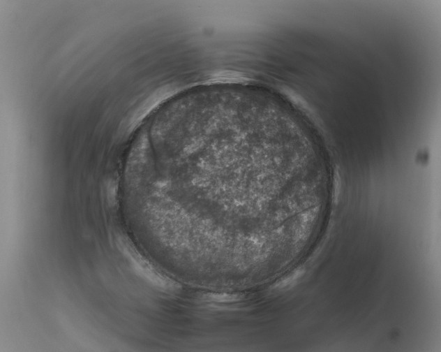 X0000111811401200908131449