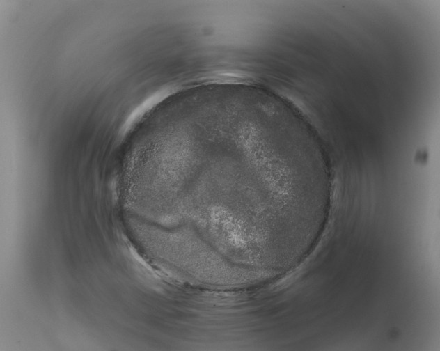X0000111811402200908131449