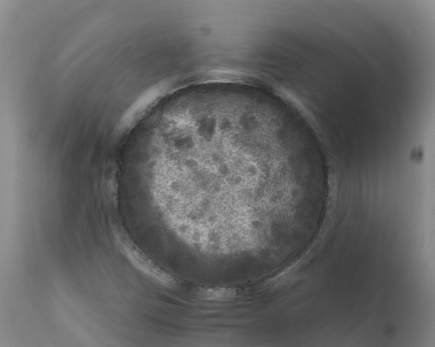 X0000111811403200908131449