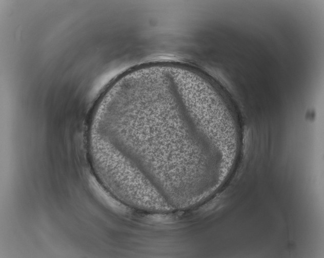 X0000111811404200908131449