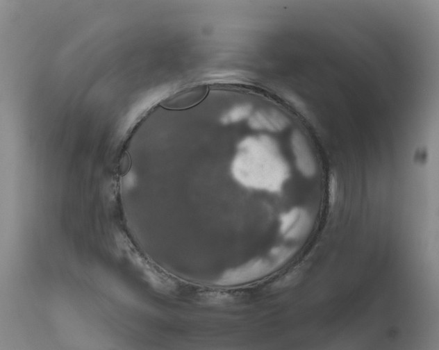 X0000111811405200908131449