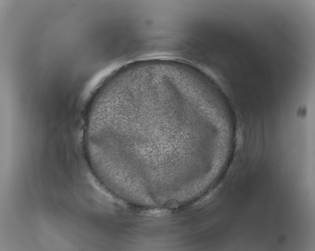 X0000111811406200908131449