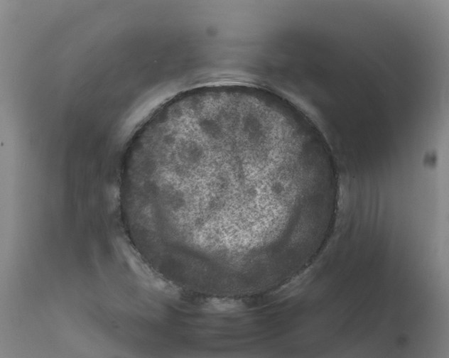 X0000111811407200908131449