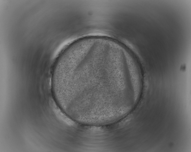X0000111811408200908131449