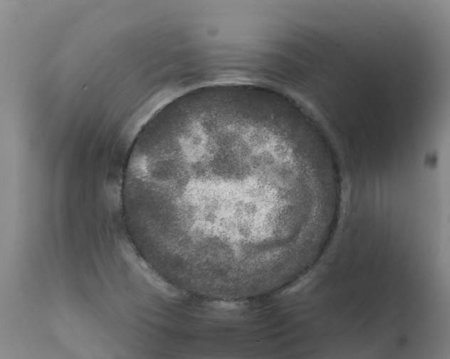 X0000111811409200908131449