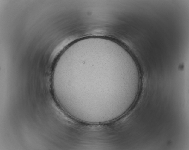 X0000111811410200908131449