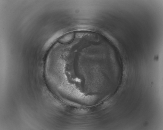 X0000111811411200908131449