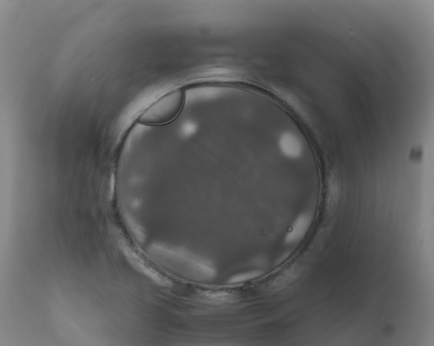 X0000111811413200908131449