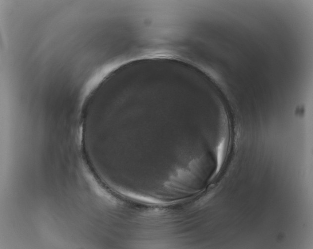 X0000111811414200908131449