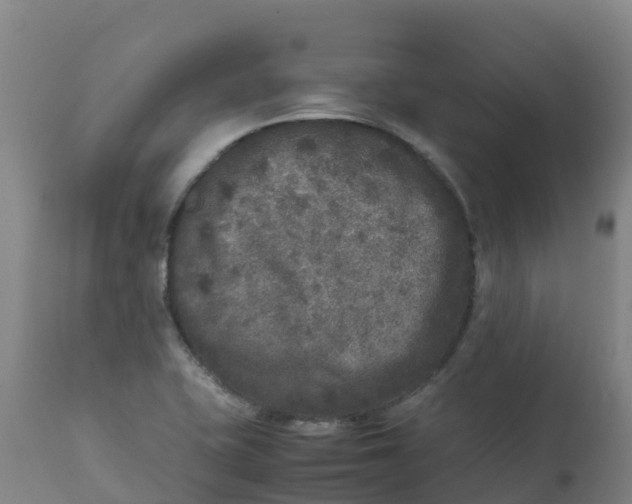 X0000111811415200908131449