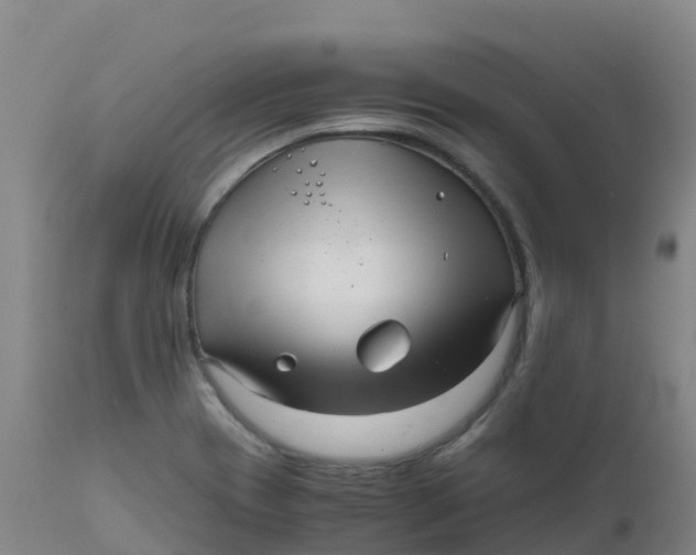 X0000111811417200908131449