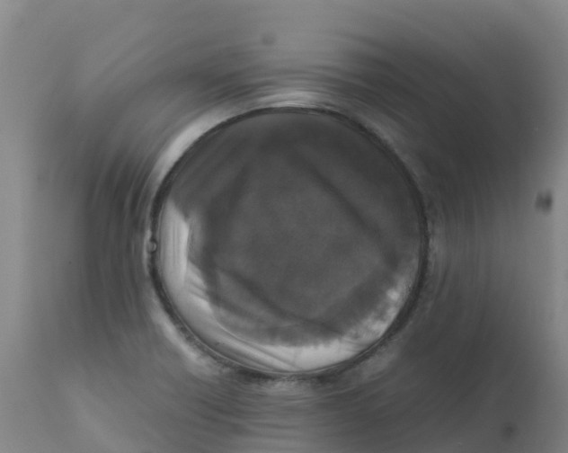 X0000111811418200908131449