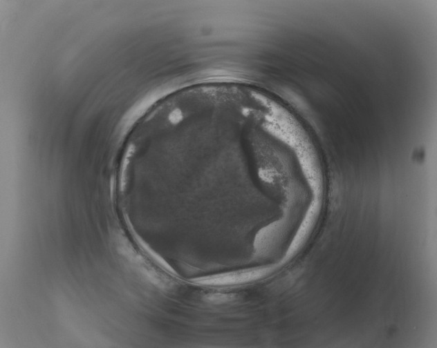 X0000111811419200908131449