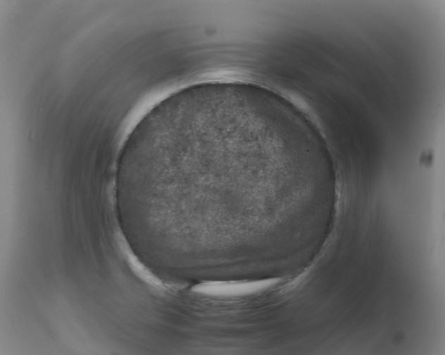 X0000111811421200908131449