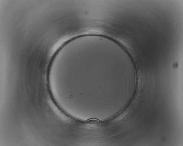 X0000111811422200908131449