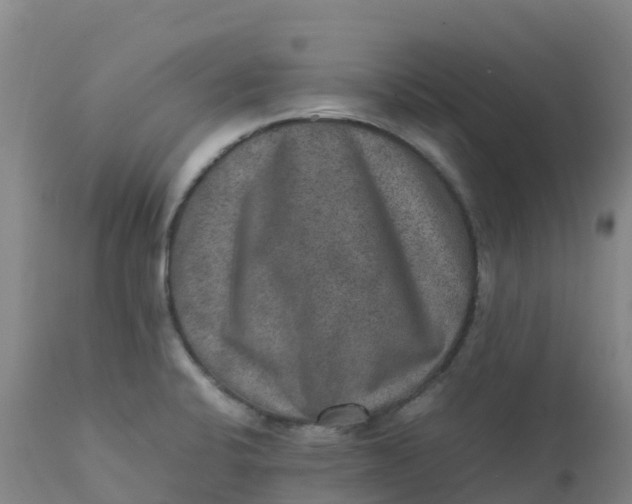 X0000111811424200908131449