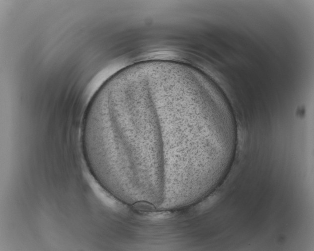 X0000111811426200908131449