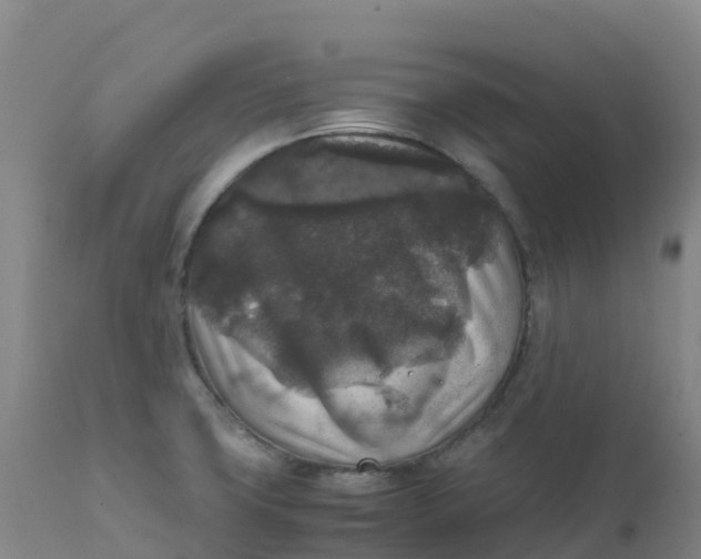X0000111811427200908131449