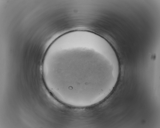 X0000111811428200908131449
